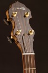 Ariel Custom